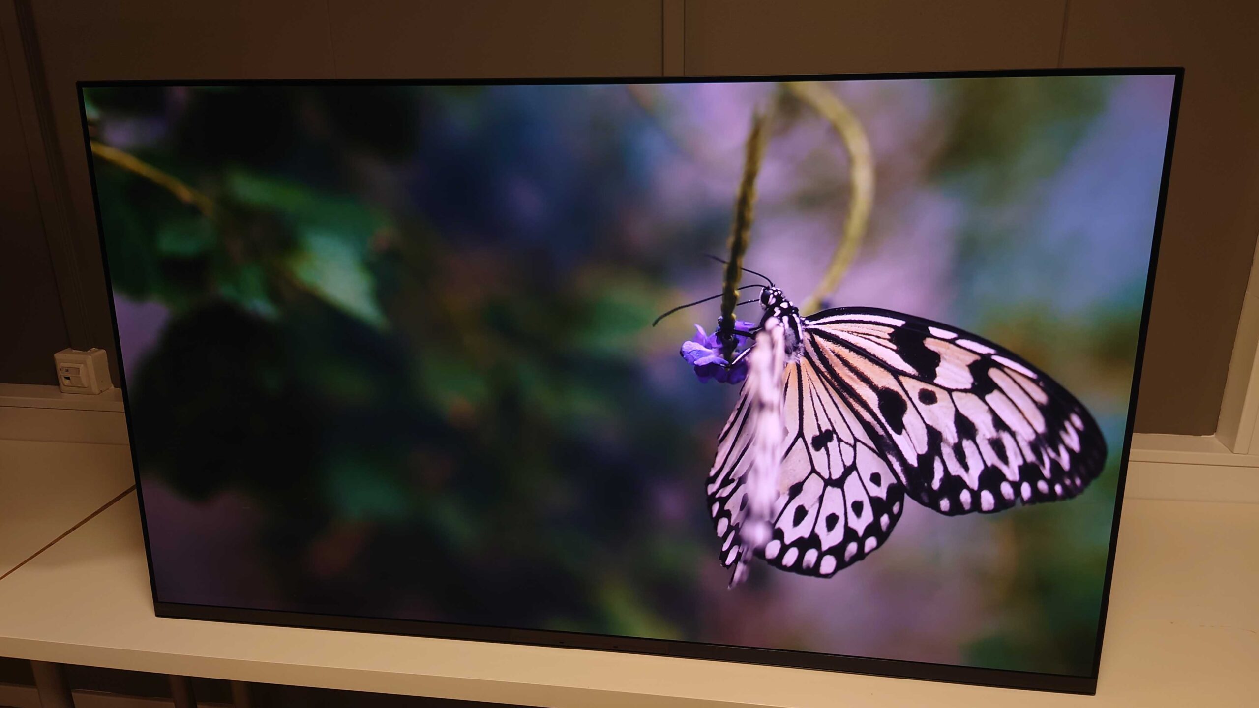 Sony A95K QD OLED picture quality 3