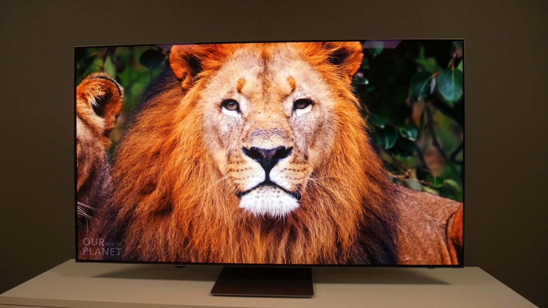 Samsung S95B QD OLED Lion