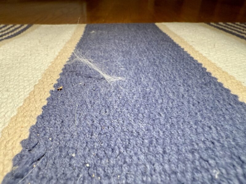 Dyson Piston rug (web) Dyson Piston rug (web)