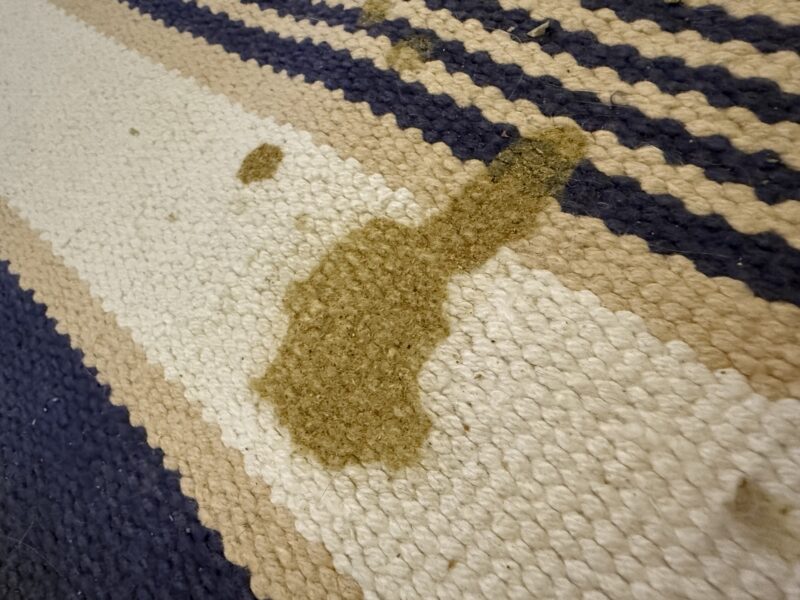 SpotClean HydroSteam rug before (web) SpotClean HydroSteam rug before (web)