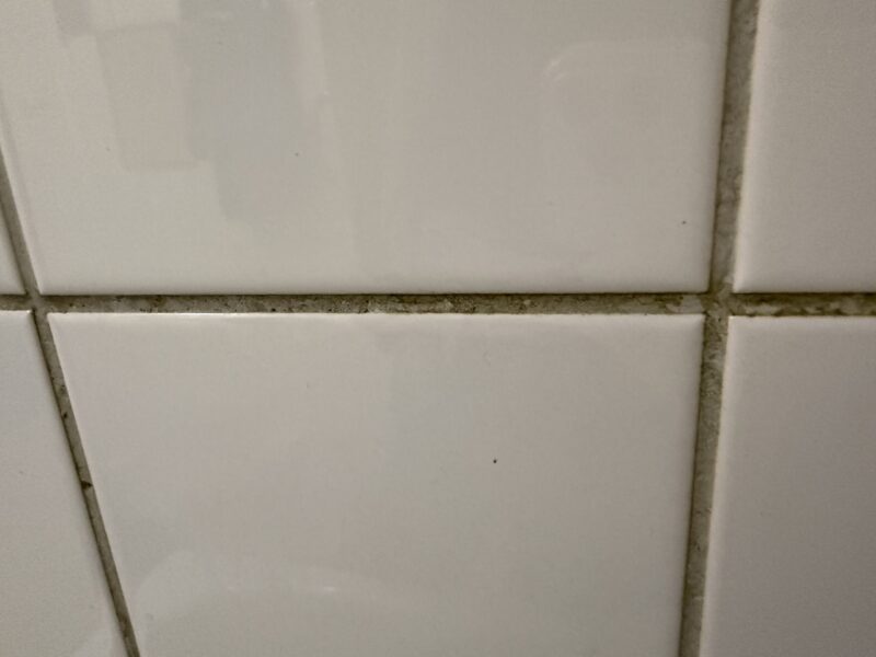 SpotClean HydroSteam tiles before (web) SpotClean HydroSteam tiles before (web)