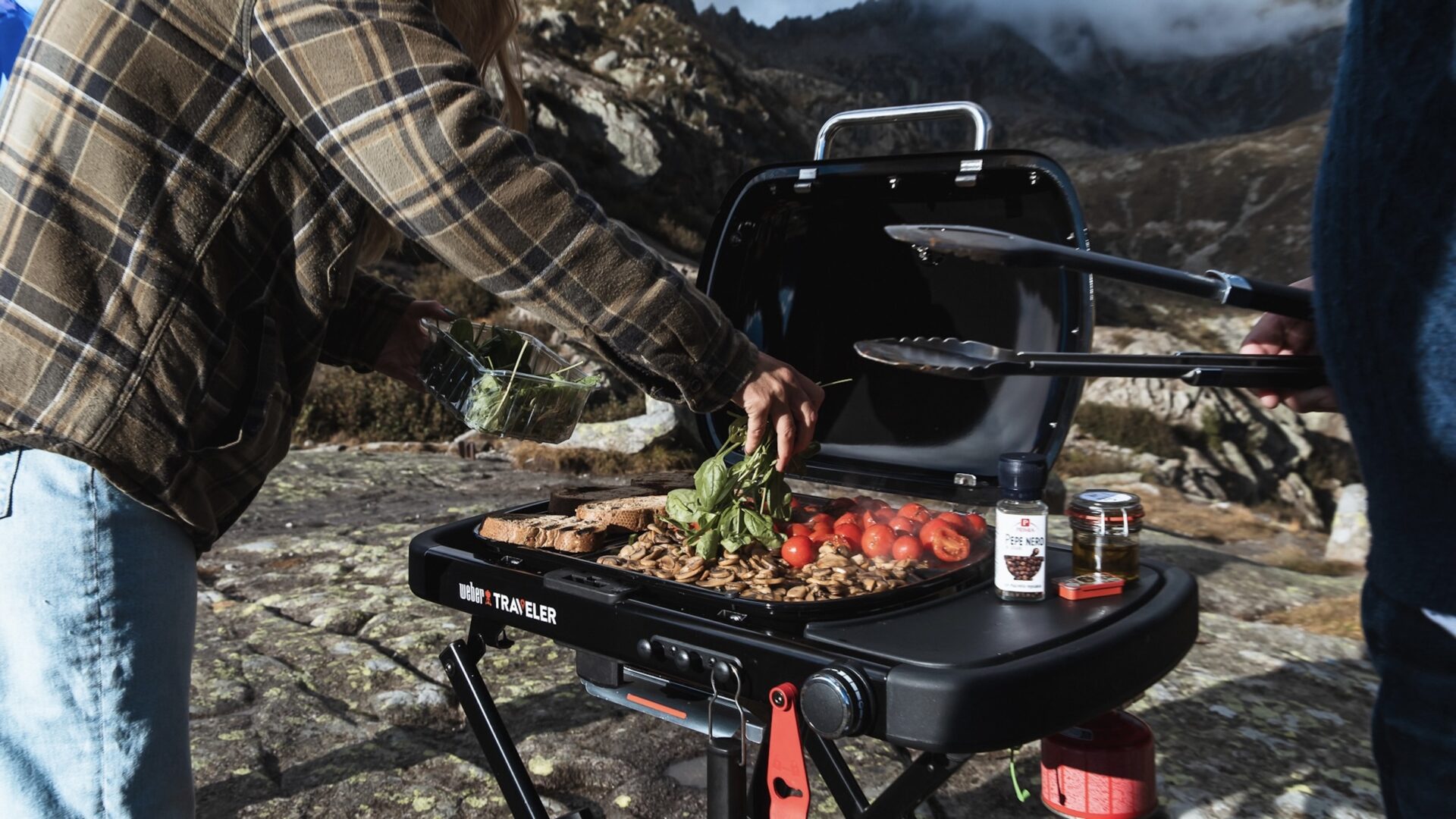 Weber Traveler Compact