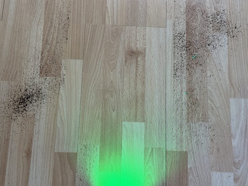 Bespoke AI Jet Ultra coffee (web) Bespoke AI Jet Ultra coffee (web)