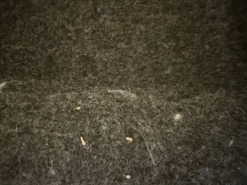 Bespoke AI Jet Ultra hair (web) Bespoke AI Jet Ultra hair (web)