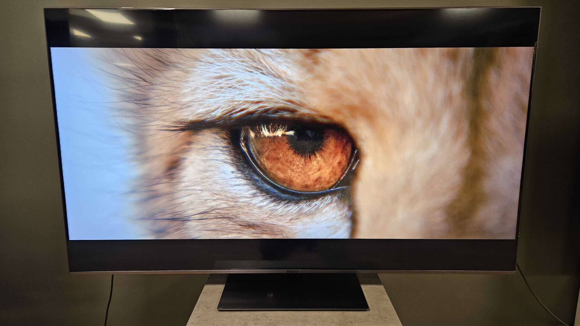 Cepter ZM1000SB (CR65ZM1000SB)