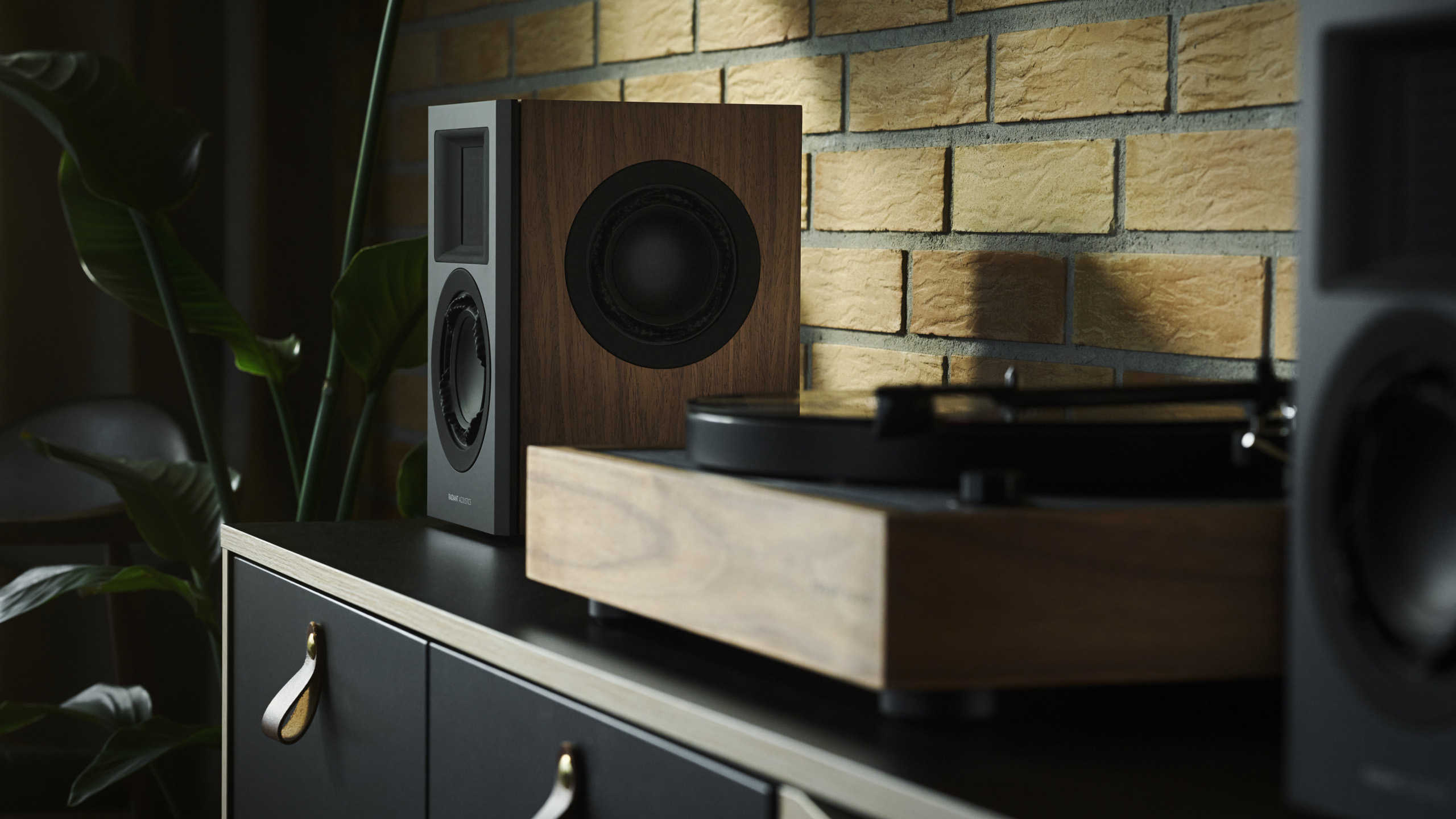 Radiant Acoustics Clarity 4.2