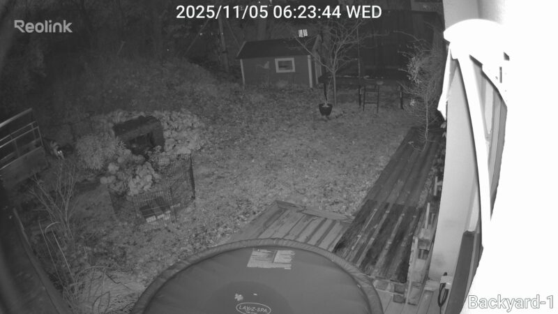 Reolink_TrackFlexFloodlightWiFi_natt