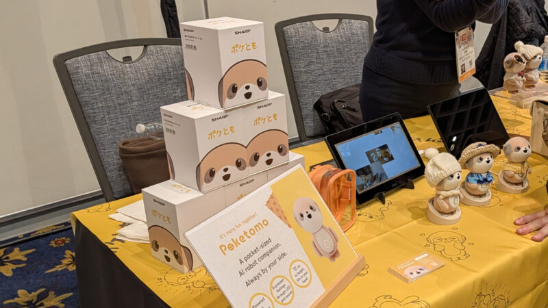 PXL_20260106_034346948-scaled