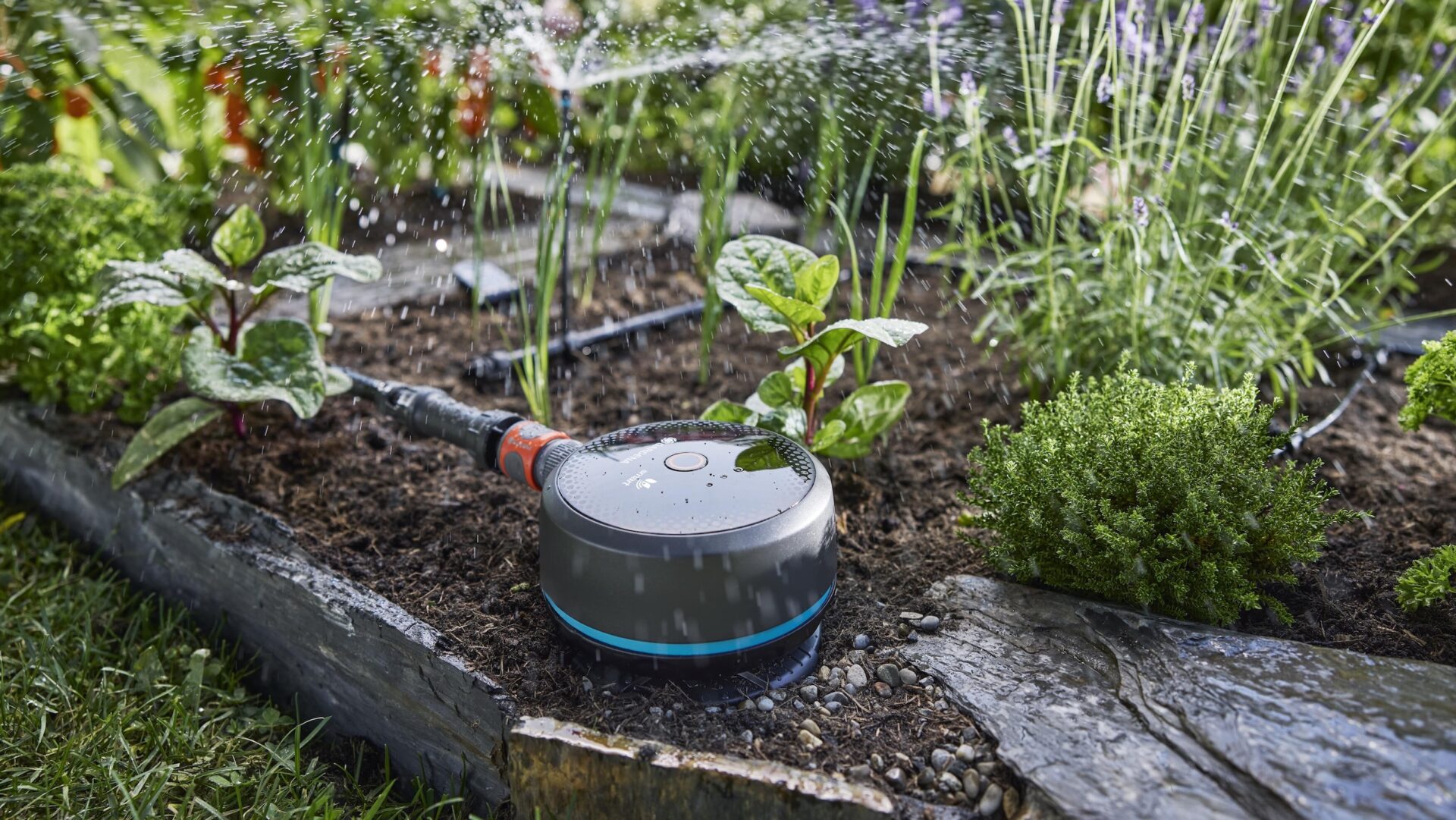 Kastelua kosteuden, ei kalenterin mukaan
