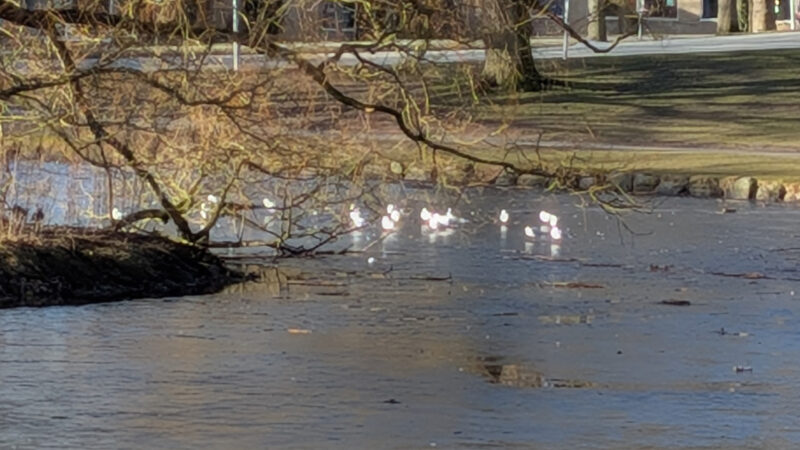 PX10A-PXL_20260301_082727465