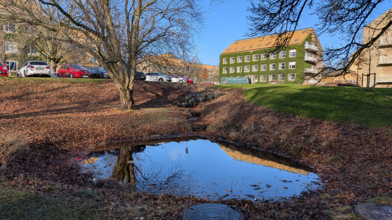 PX10A-PXL_20260301_083126589